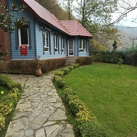 Mavi Ladin Villa