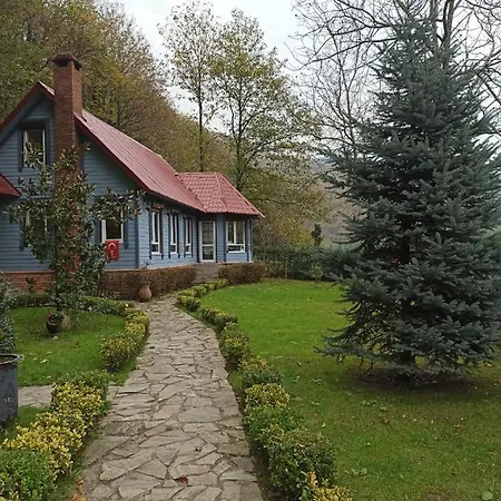 Mavi Ladin Sapanca
