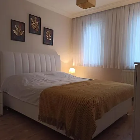 Mavi Ladin * Sapanca
