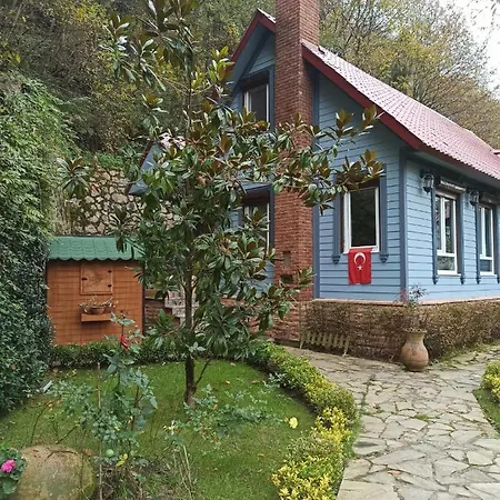Mavi Ladin Villa